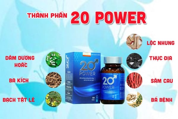 thành phần 20 power
