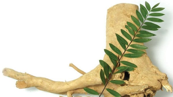 Thành phần của viên uống Hecquin