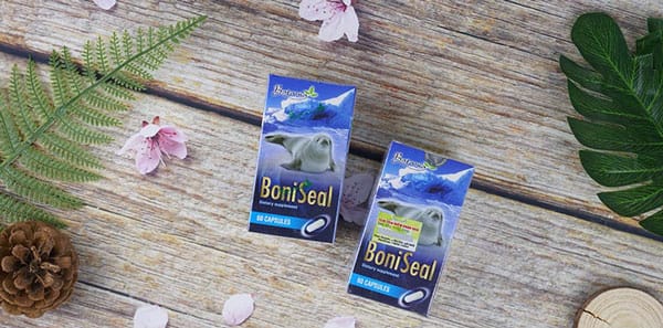 Đối tượng sử dụng BoniSeal
