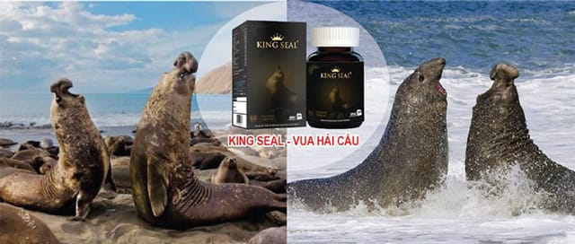 đối tượng sử dụng king seal