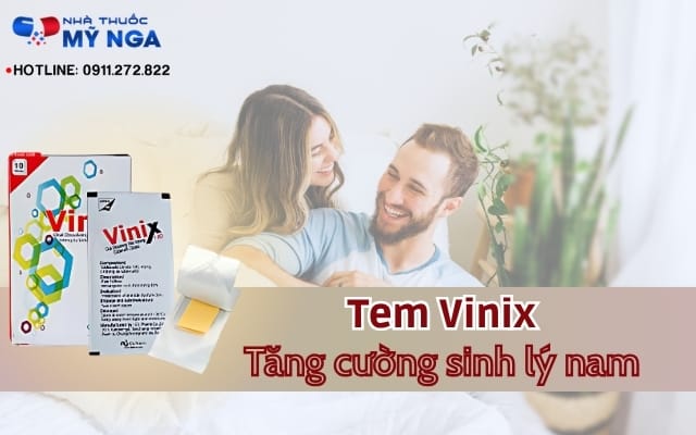tem-vinix-la-gi