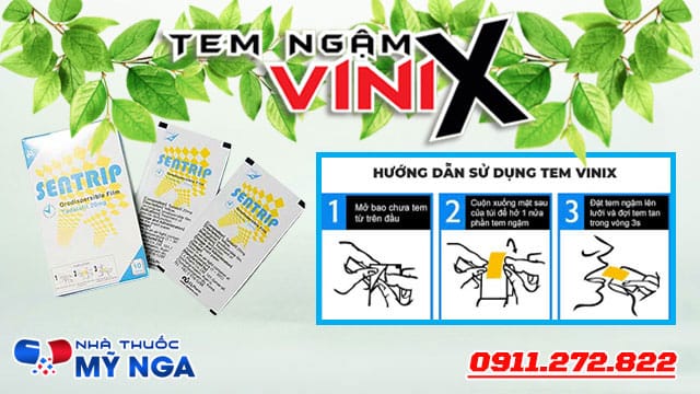 huong-dan-su-dung-tem-vinix