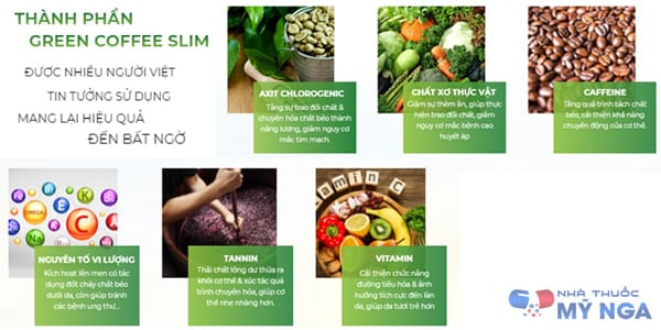 thành phần green coffee slim