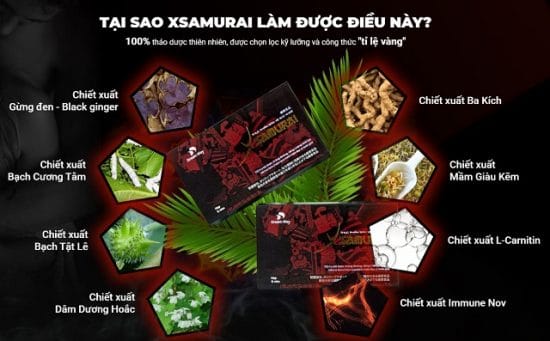 thành phần xsamurai