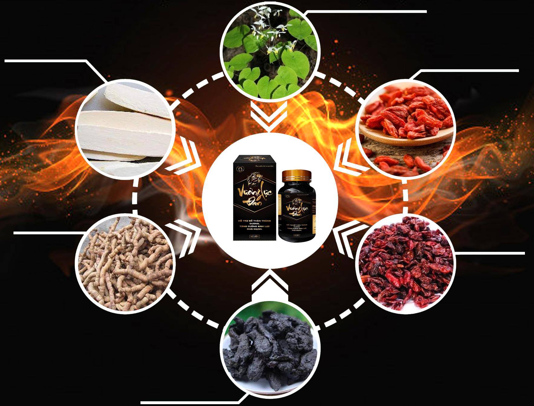 Thành phần của viên uống Vương Lực Đan