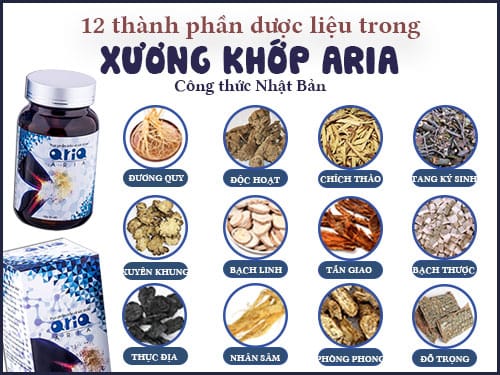 thành phần xương khớp aria