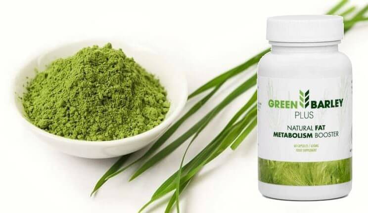 thành phần Green Barley Plus