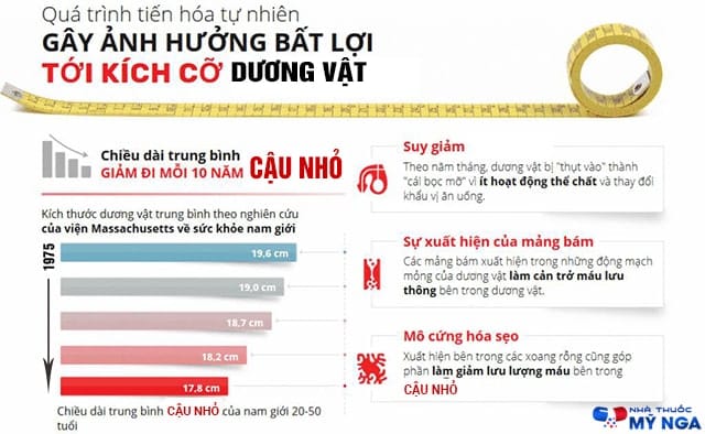 cách tăng kích thước dương vật