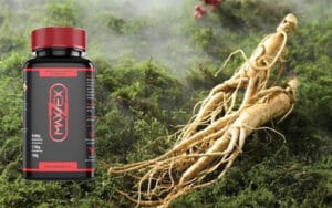 nhân sâm - thành phần maxzex