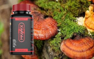 nấm linh chi - thành phần maxzex