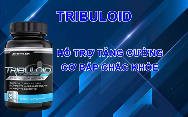 Giới thiệu Tribuloid