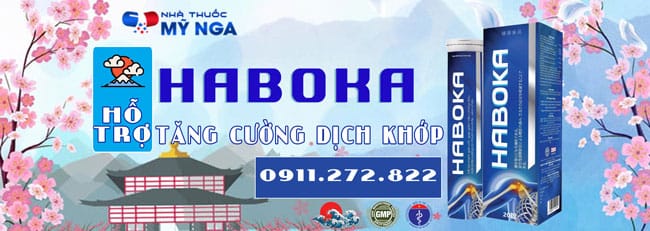 Haboka-nhathuocmynga-baner-5