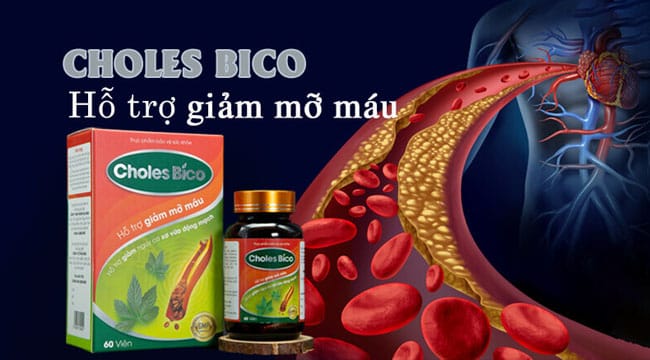 Giới thiệu Choles Bico