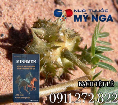 THÀNH PHẦN BẠCH TẬT LÊ