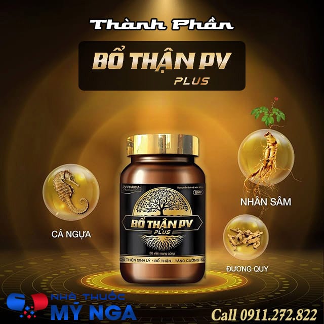 thành phần của bổ thận pv plus