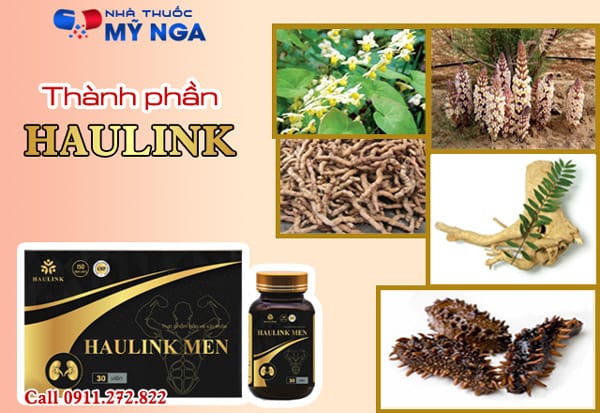 haulink men là gì