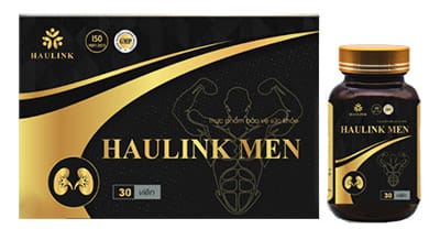 haulink cta