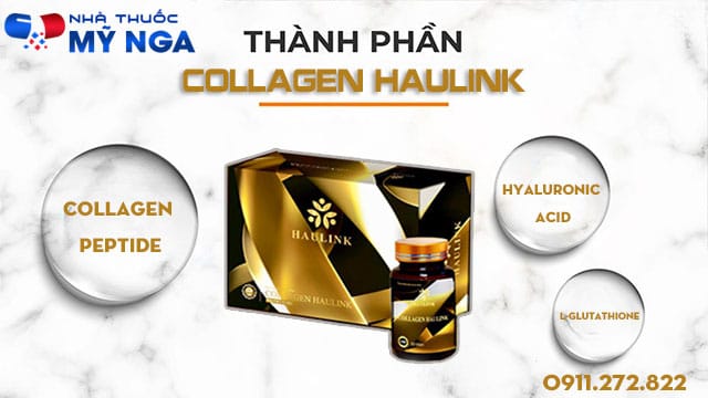 thành phần có trong sản phẩm collagen haulink