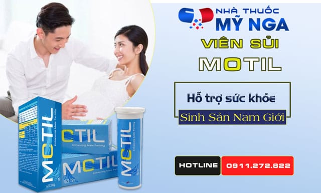 Giới thiệu Motil