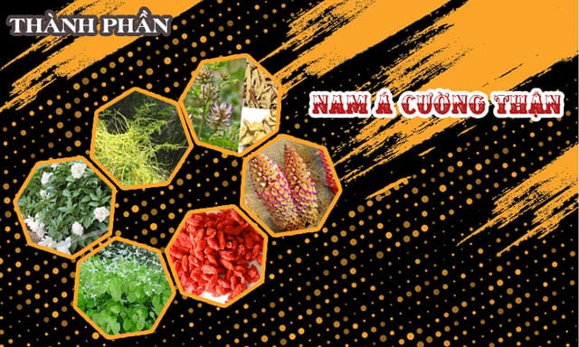 Thành phần Nam Á Cường Thận