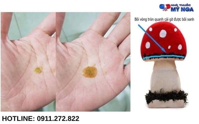 Sìn Sú AQuang cách dùng