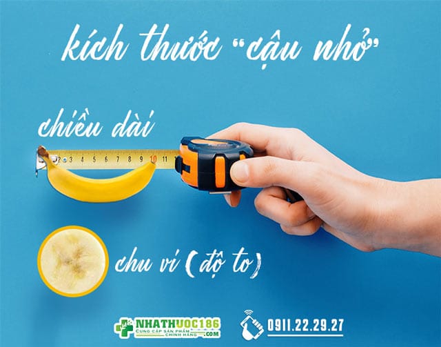 kích thước dương vât trung bình người việt nam