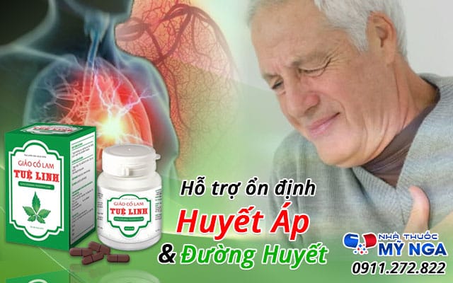 giới thiệu giảo cổ lam tuệ linh