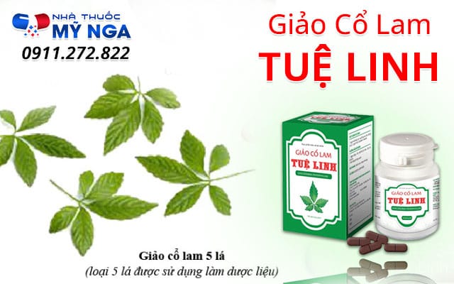 thành phần giảo cổ lam tuệ linh